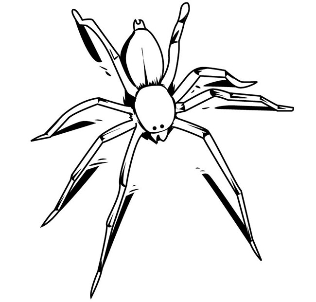 Spider Shape Template - 55+ Crafts & Colouring Pages | Free ...