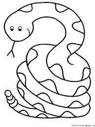 1000+ images about Snake Pit