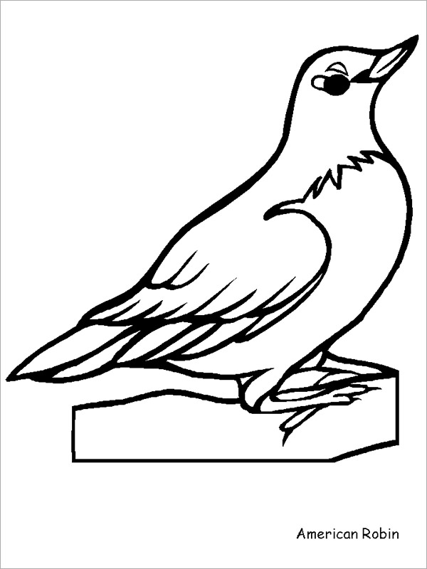 20+ Bird Templates - Animal Templates | Free & Premium Templates
