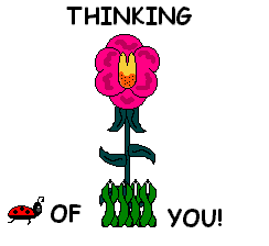 flowers blooms blumen