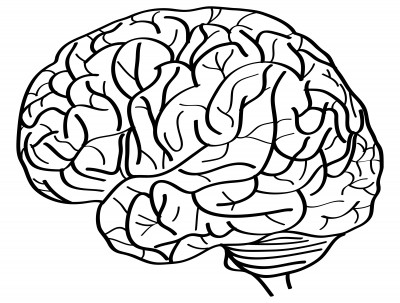 How to Curb Your Lizard Brain?