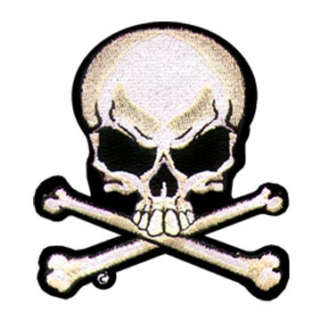 bones of skull