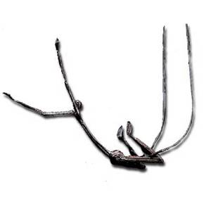 Trapecista Lorena Molina - Artelista.com