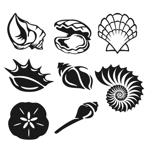 shells.jpg