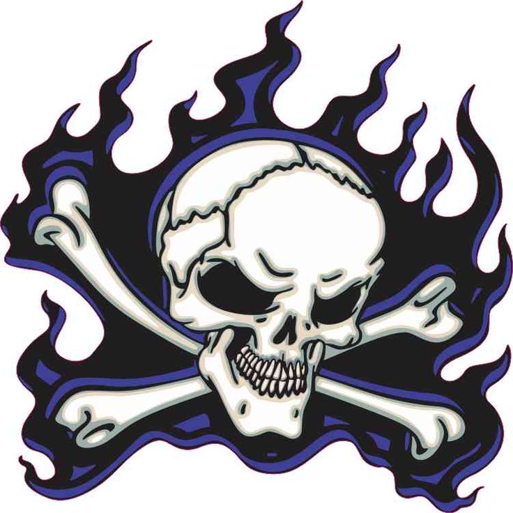 1000+ images about Skulls