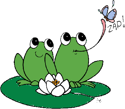 Sassy's Frogs