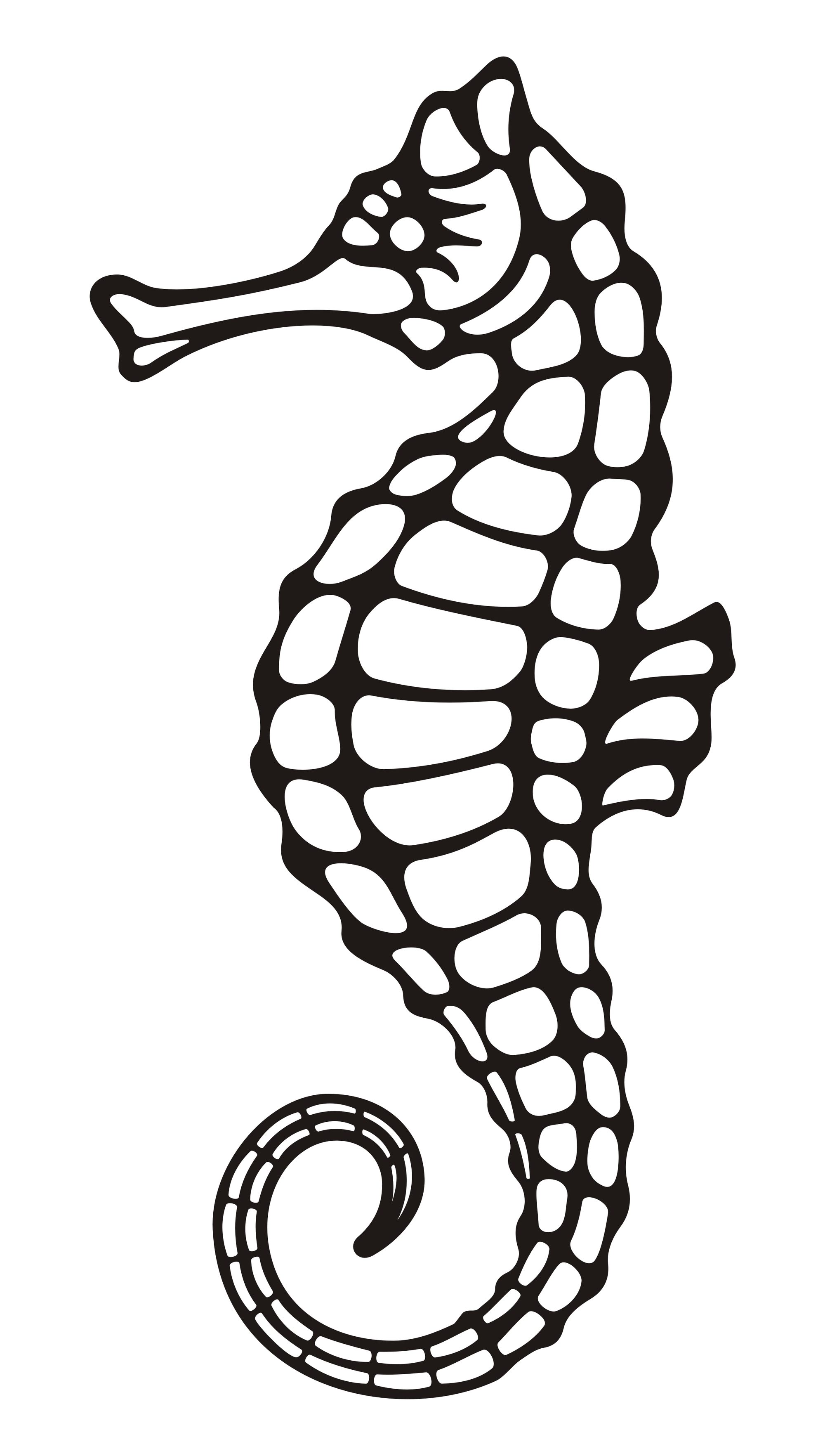 Seahorse Drawings - ClipArt Best