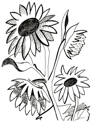 Four S Flora Black White Flower Bush Xochiinfo SVG Xochi | EZFlowers