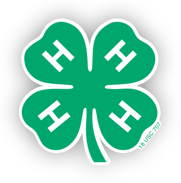 4-H Youth Development Organization | 4-