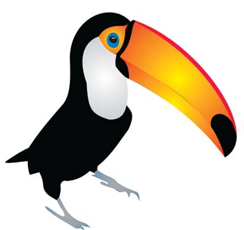Cartoon Toucan Vector - Download 1,000 Vectors (Page 1)