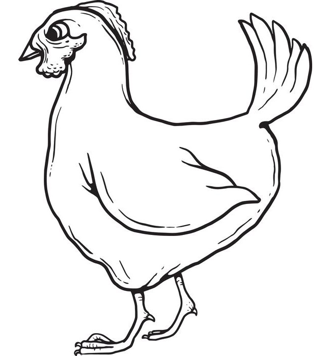 Chicken Template - Animal Templates | Free & Premium Templates