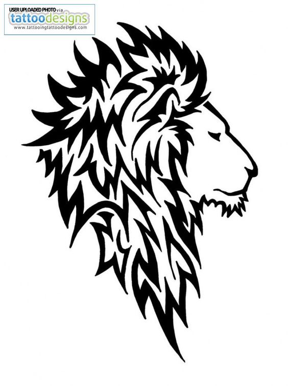 Awesome, Lion tattoo and Lion tattoo design