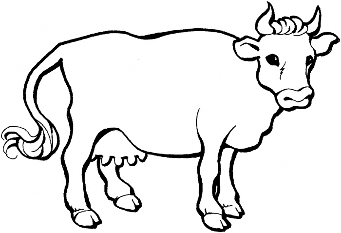 Cow Face Outline Clipart