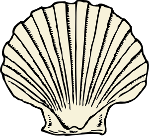 Sea Shells Clip Art - Tumundografico