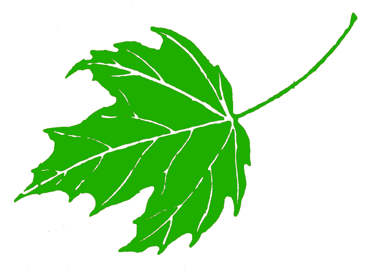 Green Maple Leaf Clipart - Free Clipart Images