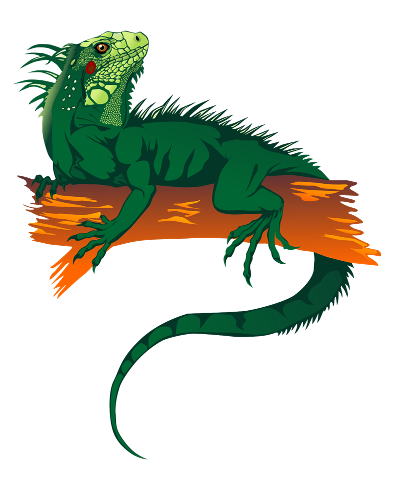 Iguana clip art