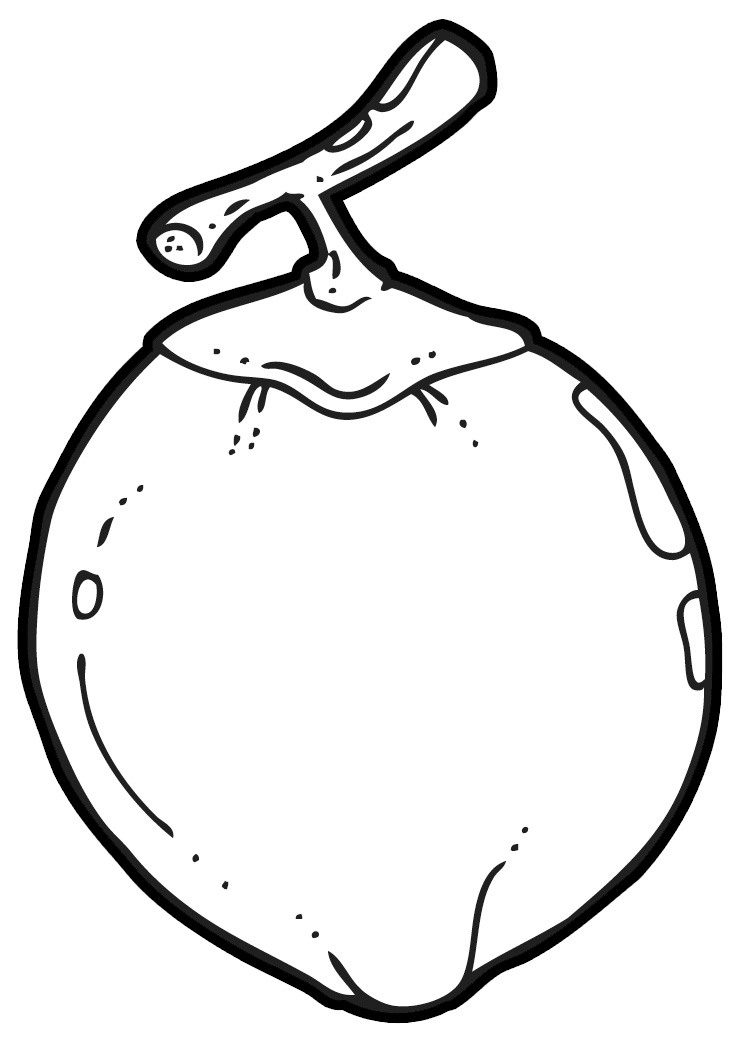 coconut clip art | Hostted