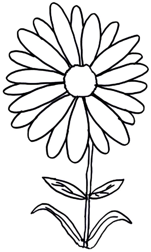 1 References for Coloring Pages - Part 21
