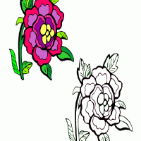 Petal and Center Patterns