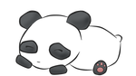 Baby Panda