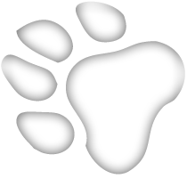 Dog Creche &amp; Treadmill Hertfordshire