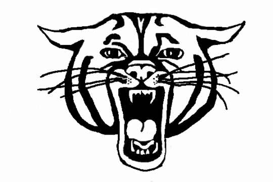 Wildcat Clipart | Mrs. Clegg's Class Blog