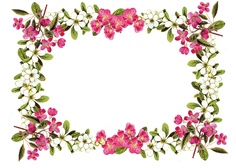 Digital Scrapbooking