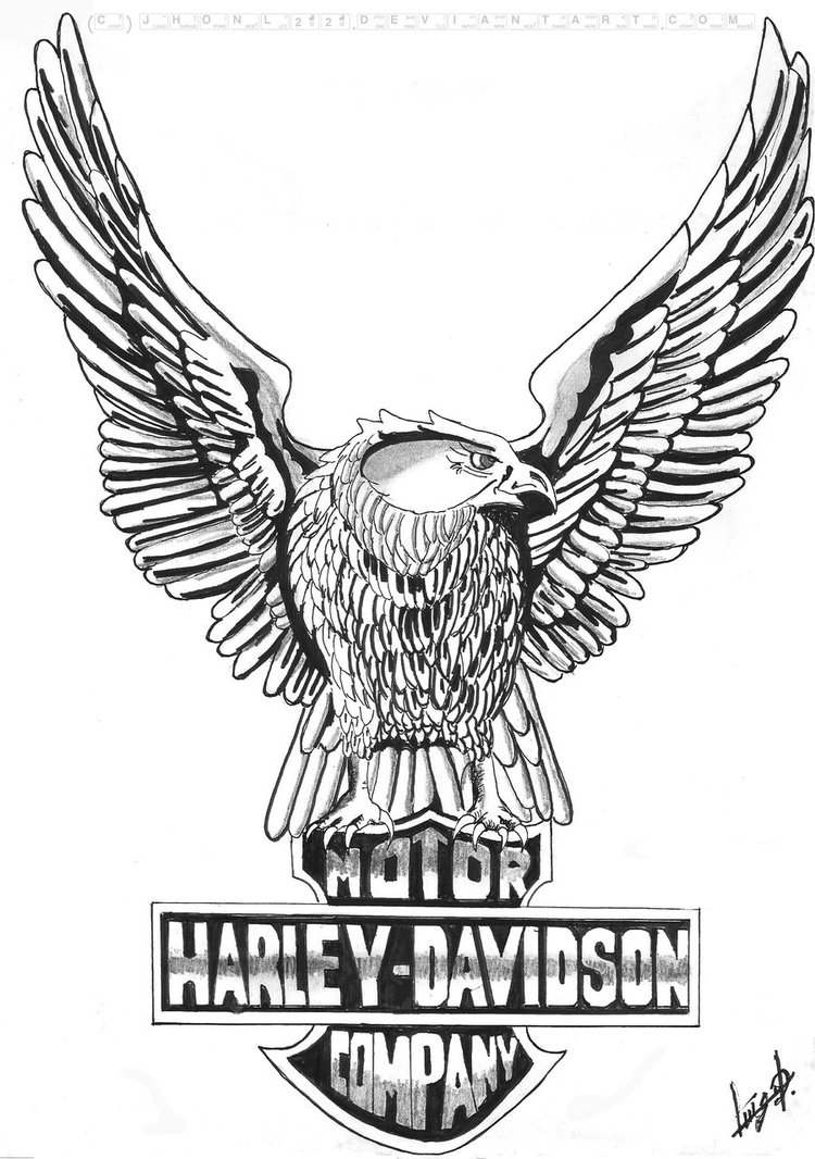 Hd Eagle Logo Vector | Tattoo Design Bild