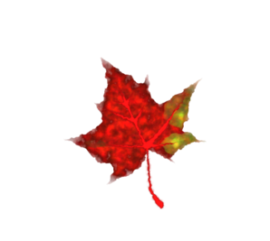 Fall Leaf clip art - vector clip art online, royalty free & public ...