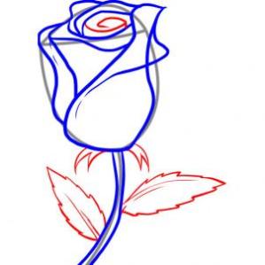 Easy Flowers To Draw