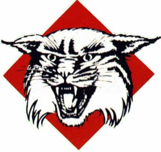 Davidson_Wildcats_logo