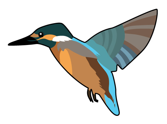 Little Girl and the Kingfisher - Beautiful short story for kids