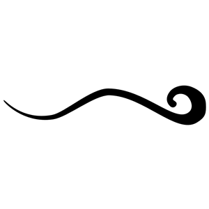 Flourish Clipart | Free Download Clip Art | Free Clip Art | on ...