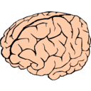 Brain Clipart Collection | i2Clipart - Royalty Free Public Domain ...