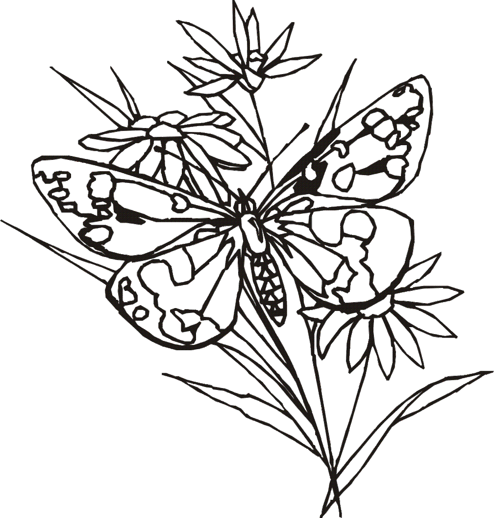 Flowers And Butterflies Drawings With Bows Clipart - Free to use ...