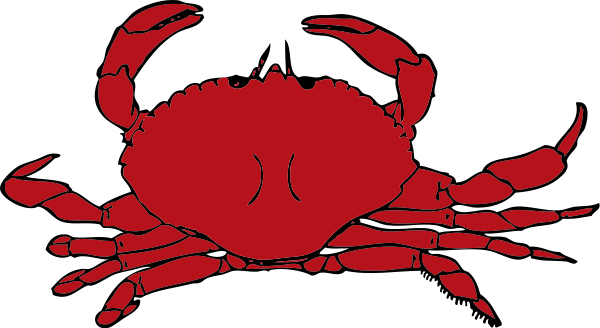Sea animal clipart