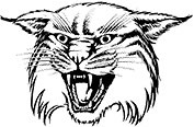 wildcat1.jpg