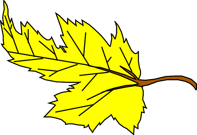FALL, YELLOW, LEAF, CARTOON, PLANT, FALLING, LEAVES - Public ...