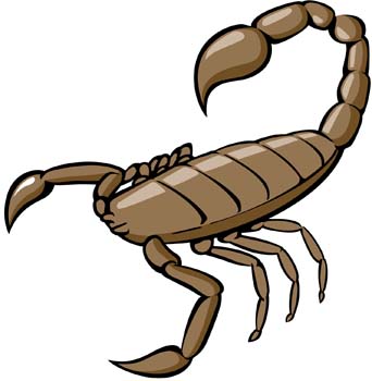 Scorpion clip art