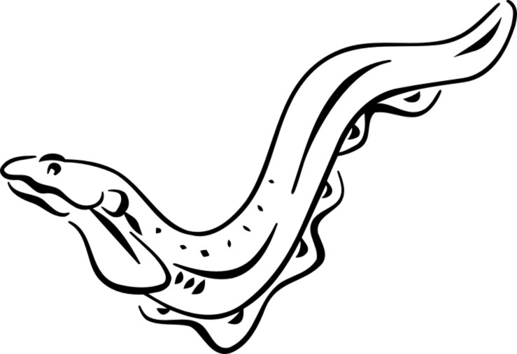 1000+ images about Stamps to Carve | Stingray tattoo ...
