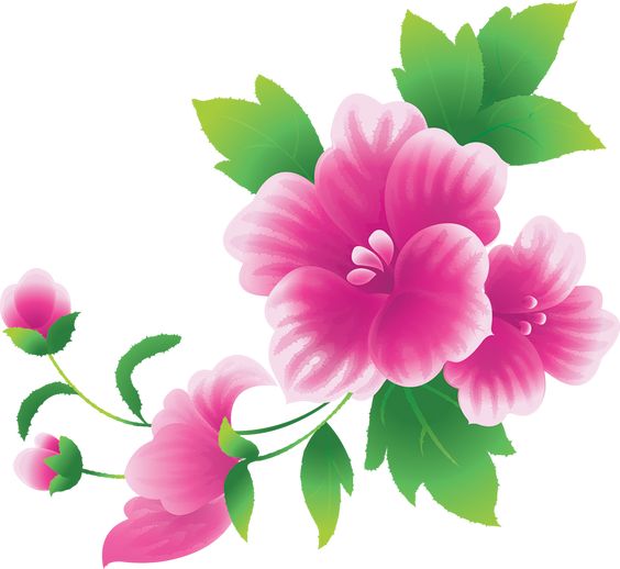 Pink, Furniture and Flower