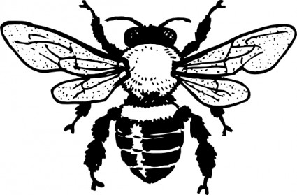 Bee Clipart Black And White - Free Clipart Images