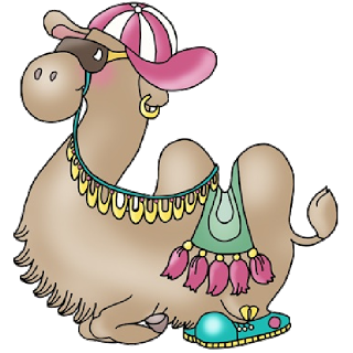 Funny Camel Pictures