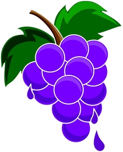 Cartoon grapes clipart