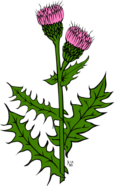 Weed Clip Art - Tumundografico