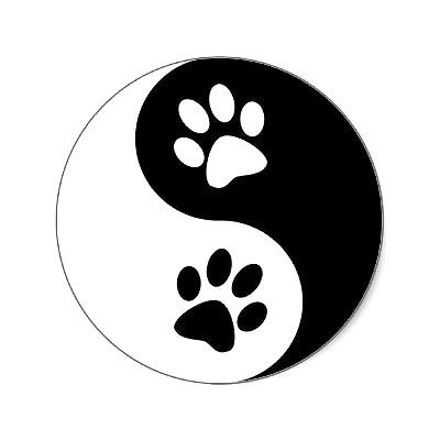 17 Yin Yang Tattoo Designs