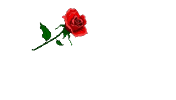 Names animations | GIFGIFs.com