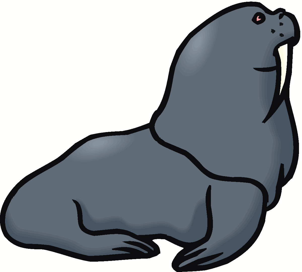 Best Walrus Clipart #14040 - Clipartion.com