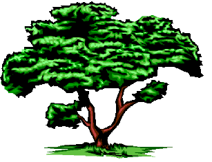 Oak Trees Clipart - Free Clipart Images