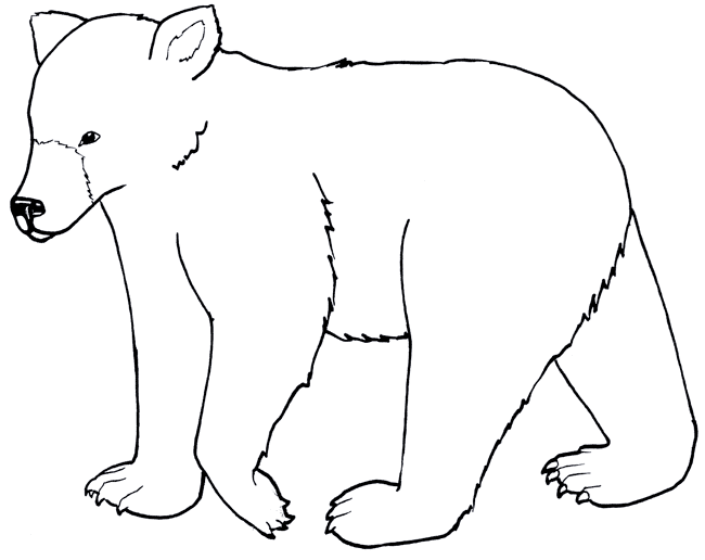 Bear Coloring Pages | Coloring Kids